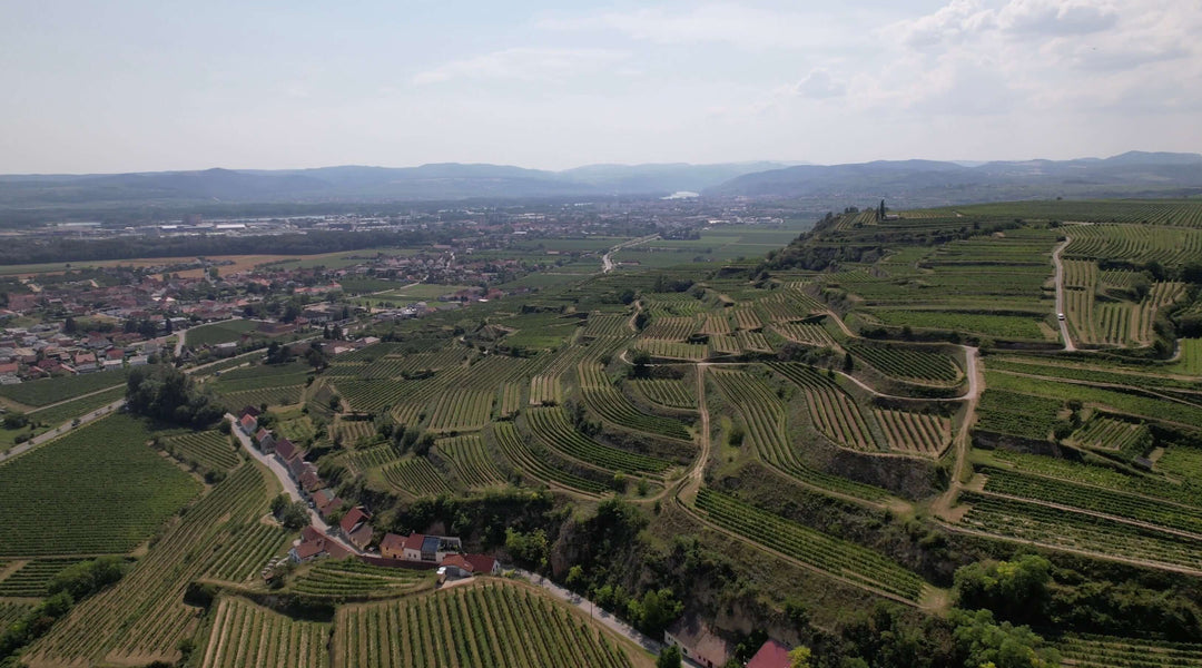 Rohrendorfer Kellergasse: Ein Ort mit Geschichte