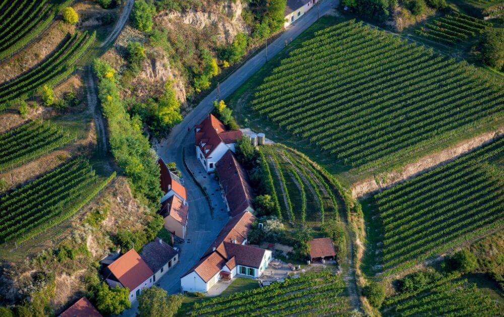 Weingut Mittelbach 